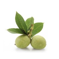 Yeşil Kabuklu Ceviz -1kg 