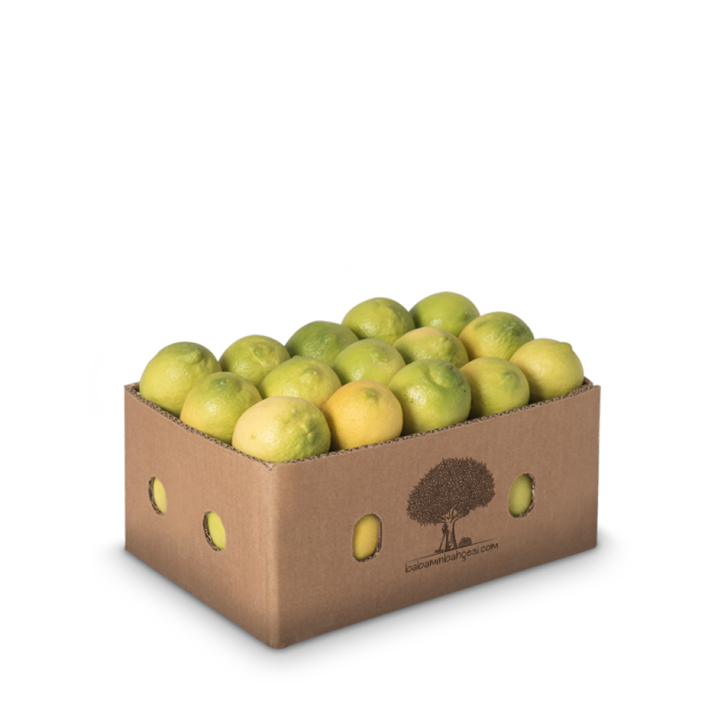 Limon Aydın (Jelibon) - 1kg