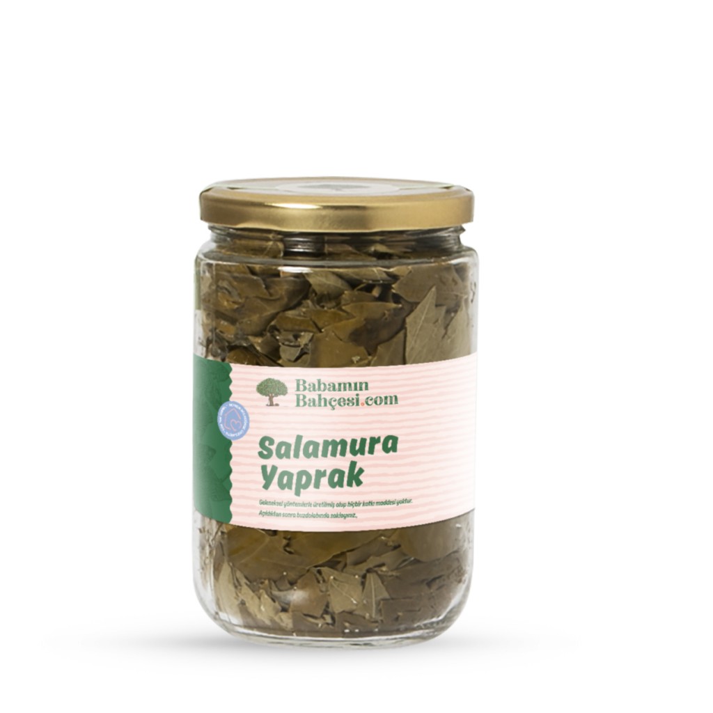 Hatay Salamura Yaprak - 620gr