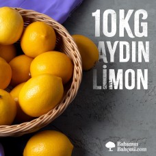 Aydın Limon Paketi - 10kg