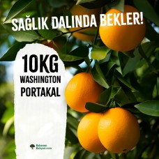 Washington Portakal Paketi - 10kg