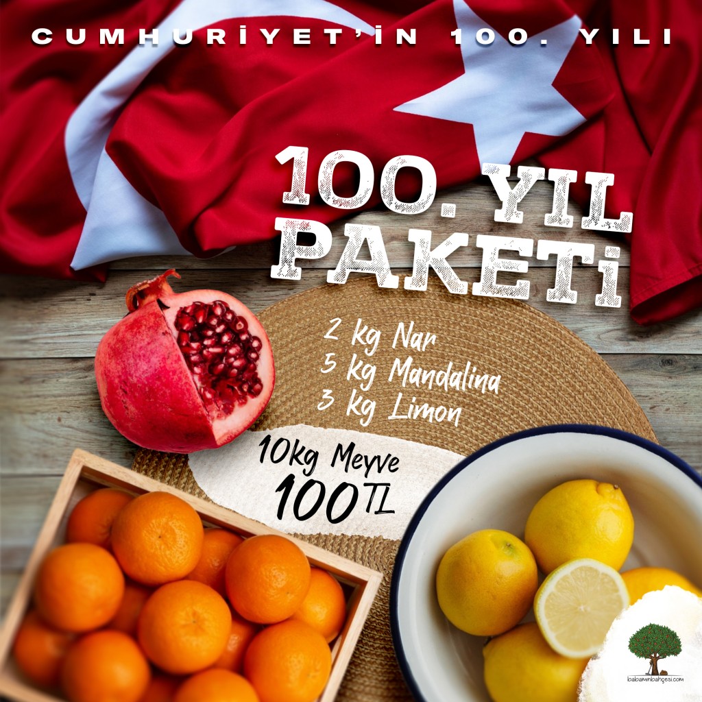 100. Yıl Paketi