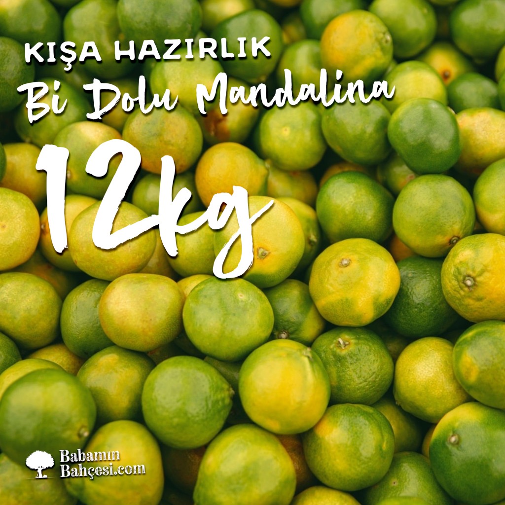 Kışa Hazırlık - 12kg Mandalina