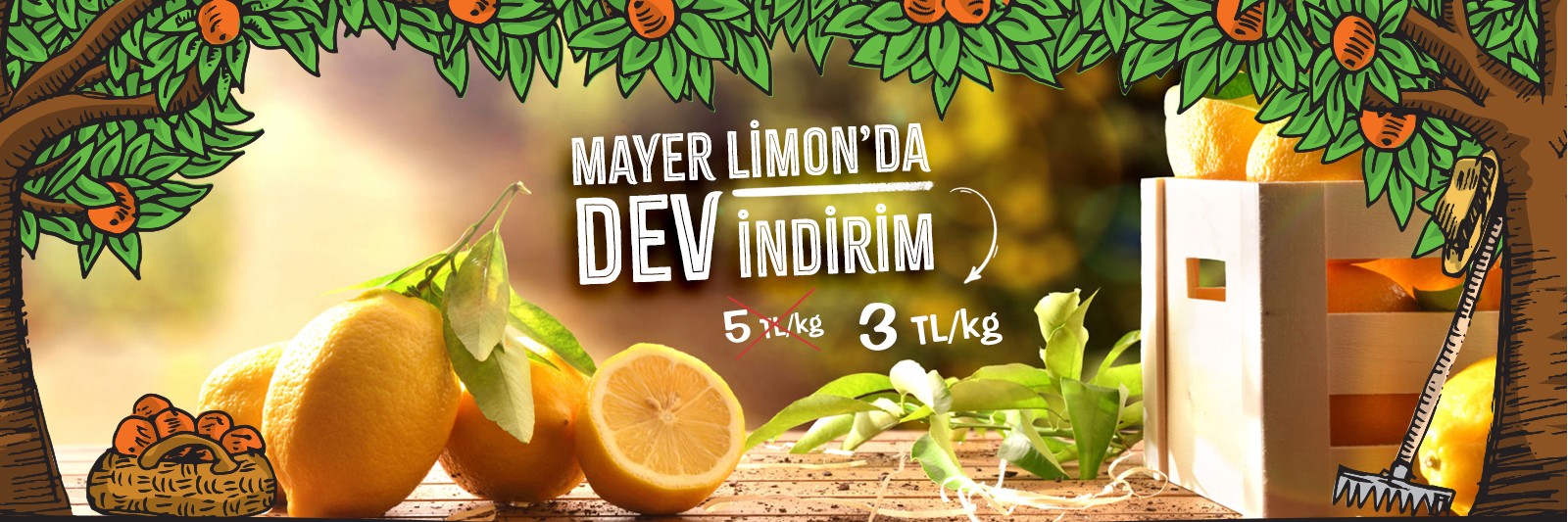 Mayer Limon