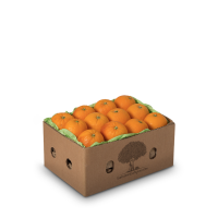 Sıkmalık Portakal - 1 kg